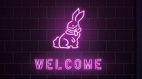 Bunny Girl (edit + illustration)